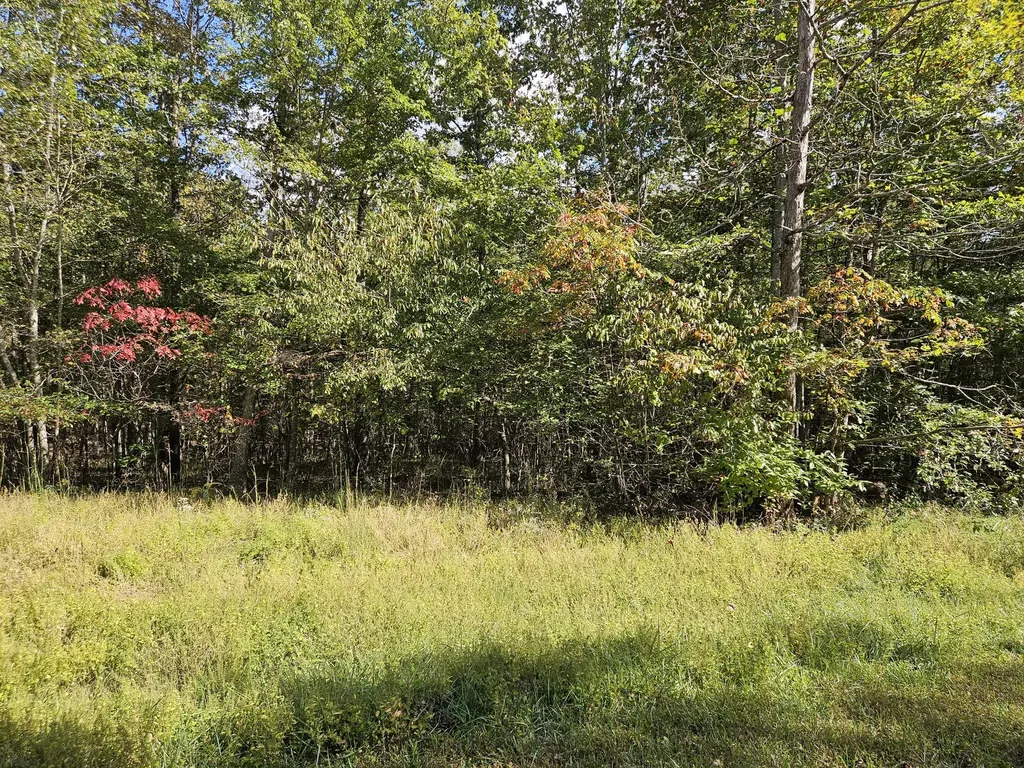 0 Holly Lane Spencer TN 38585