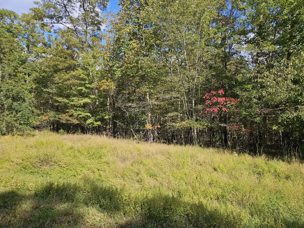 0 Holly Lane Spencer TN 38585