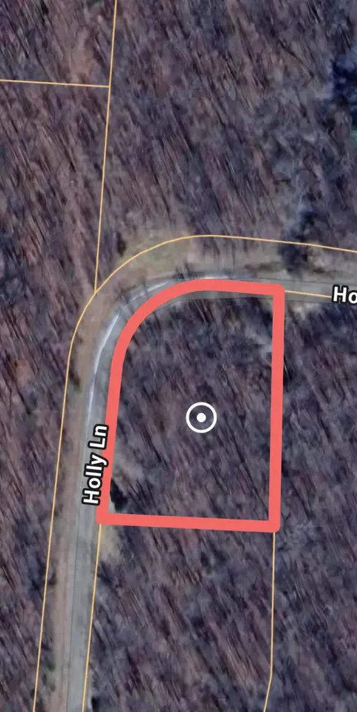 0 Holly Lane Spencer TN 38585