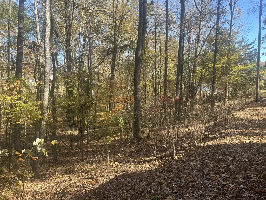 0 Indian Park Drive Parsons TN 38363