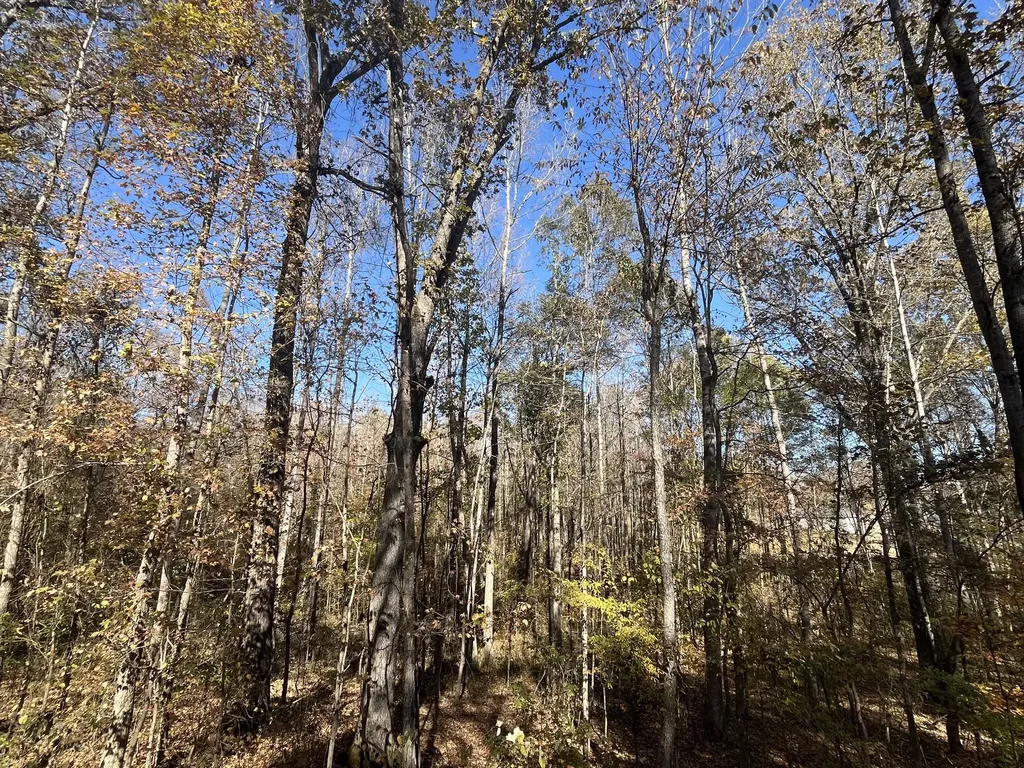 0 Indian Park Drive Parsons TN 38363
