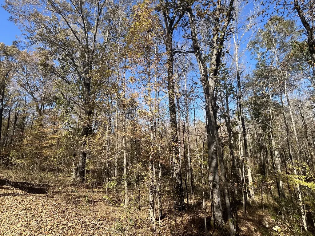 0 Indian Park Drive Parsons TN 38363