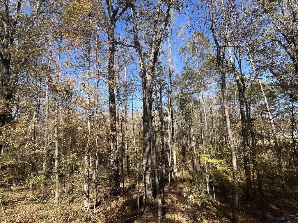 0 Indian Park Drive Parsons TN 38363