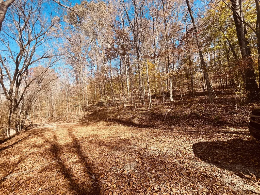 0 Arrow Head Circle Parsons TN 38363