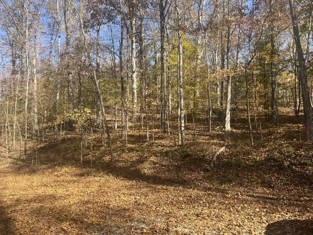 0 Arrow Head Circle Parsons TN 38363