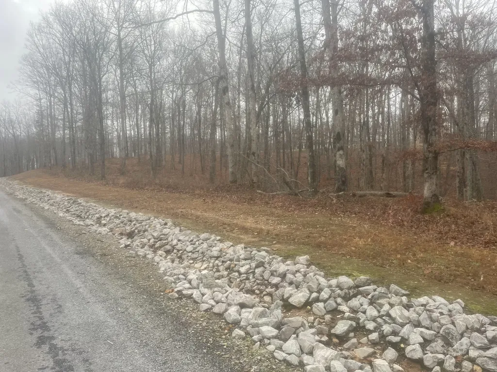 0 Stonebrook Drive Mc Ewen TN 37101