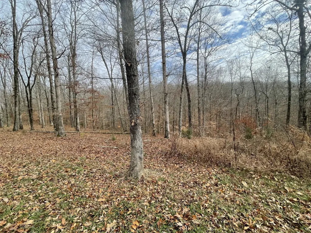 0 Stonebrook Drive Mc Ewen TN 37101