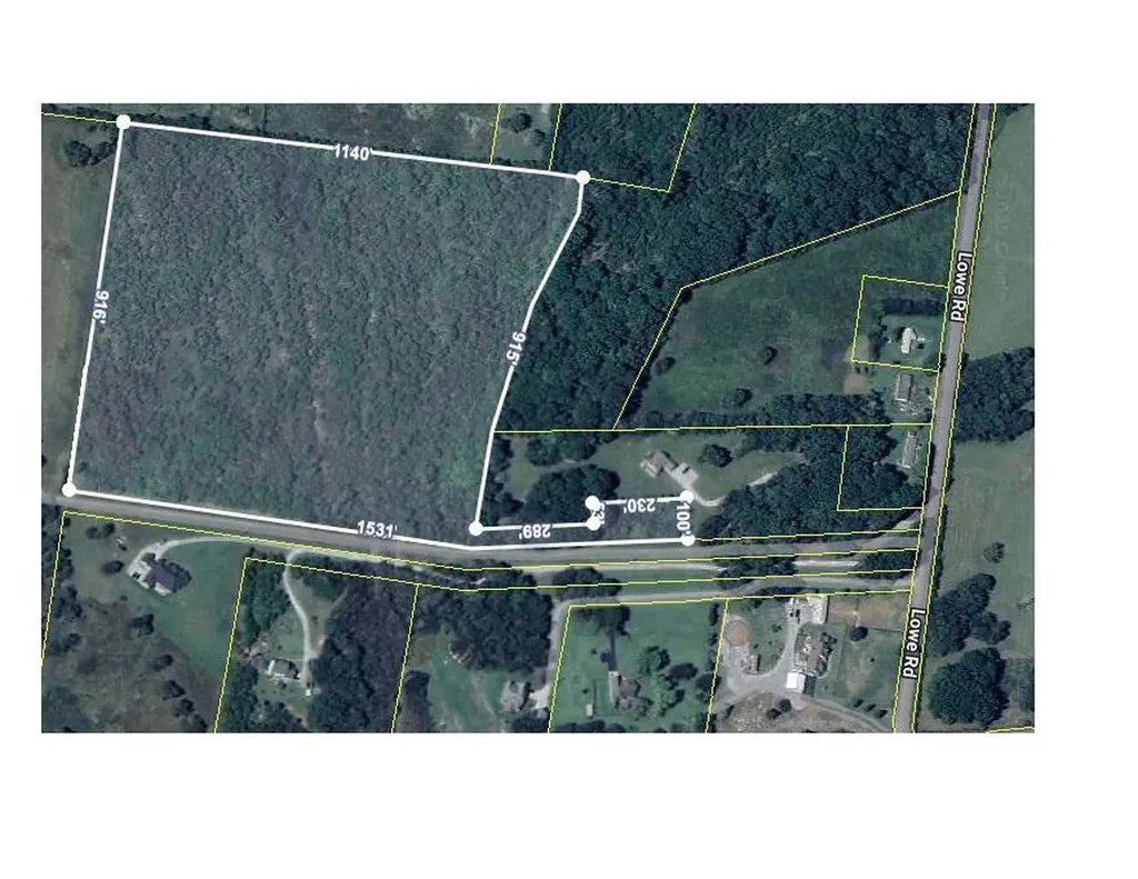 7787 Lowe Christiana Road Christiana TN 37037