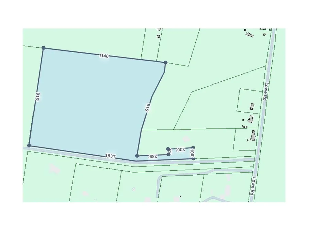 7787 Lowe Christiana Road Christiana TN 37037