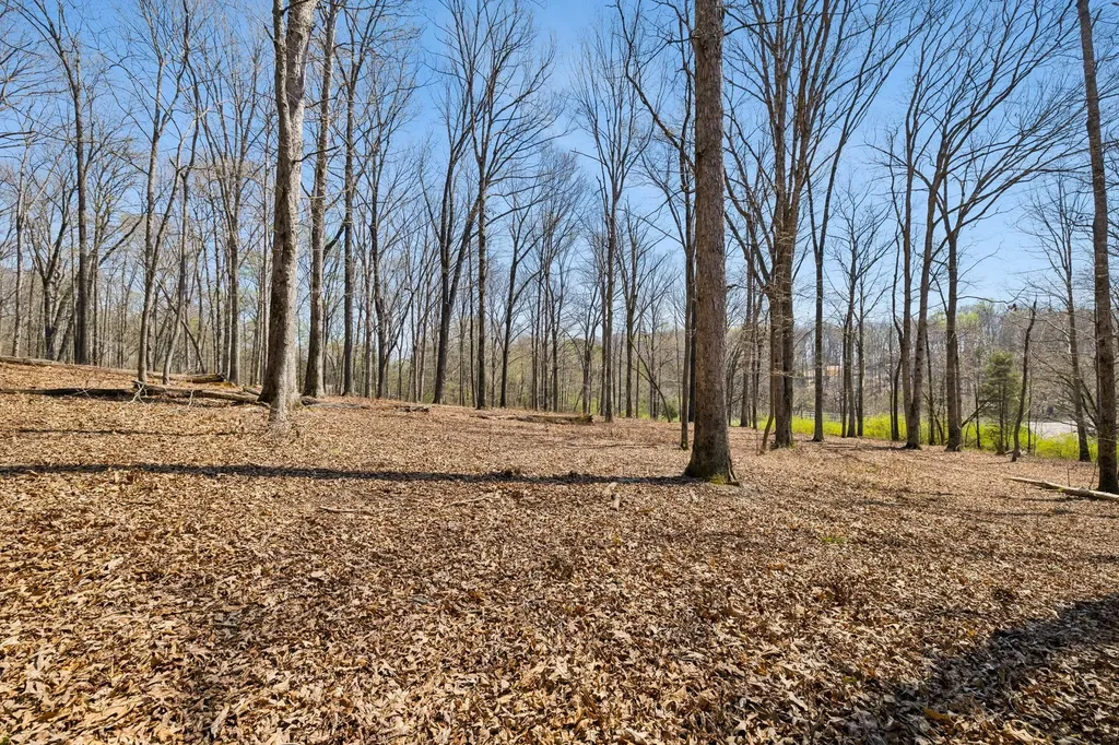 1300 Old Sugar Limb Road Loudon TN 37774