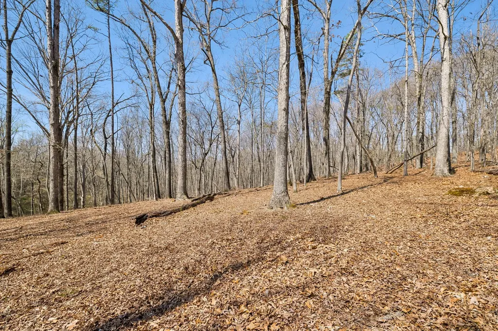 1300 Old Sugar Limb Road Loudon TN 37774