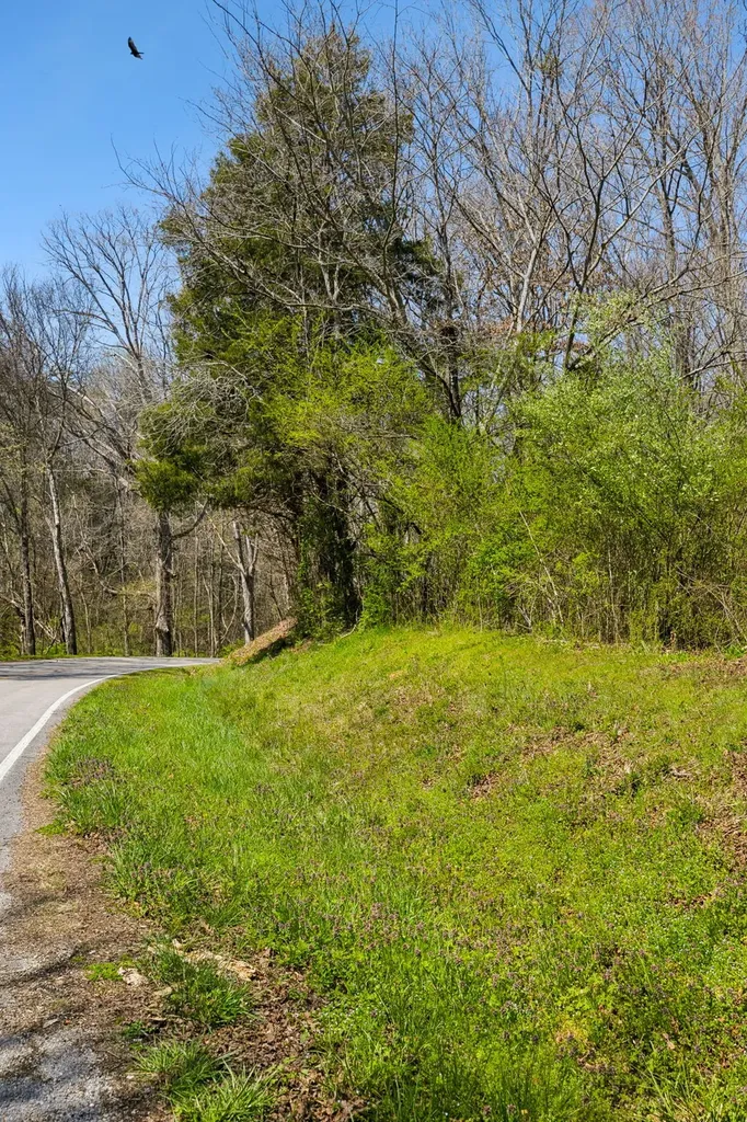 1300 Old Sugar Limb Road Loudon TN 37774