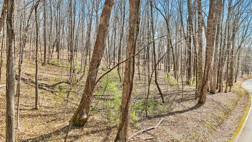 1300 Old Sugar Limb Road Loudon TN 37774