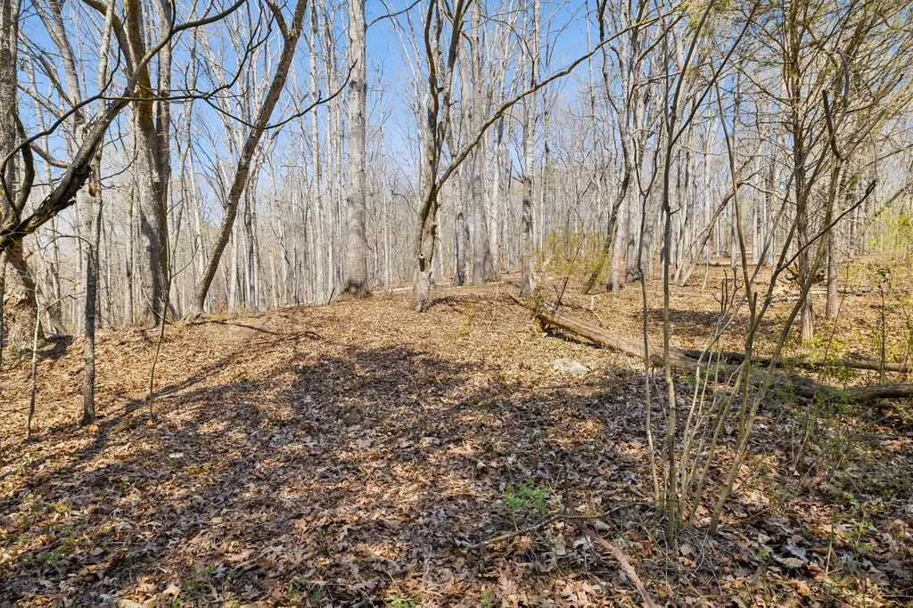 1300 Old Sugar Limb Road Loudon TN 37774