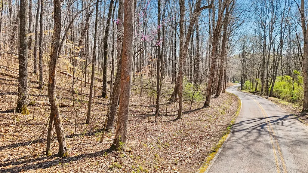 1300 Old Sugar Limb Road Loudon TN 37774