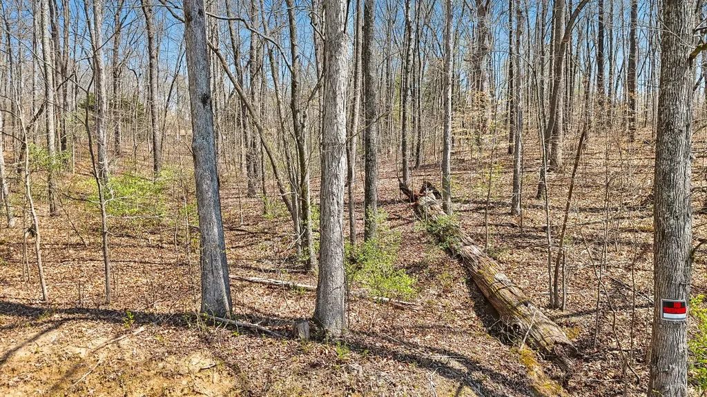 1300 Old Sugar Limb Road Loudon TN 37774