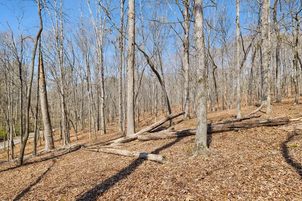 1300 Old Sugar Limb Road Loudon TN 37774