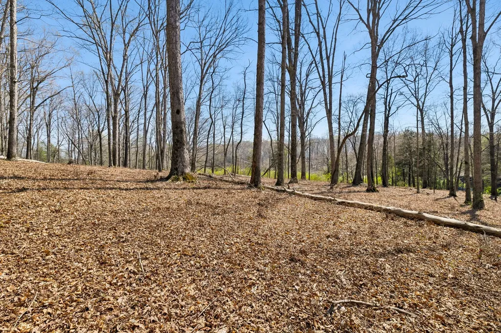 1300 Old Sugar Limb Road Loudon TN 37774