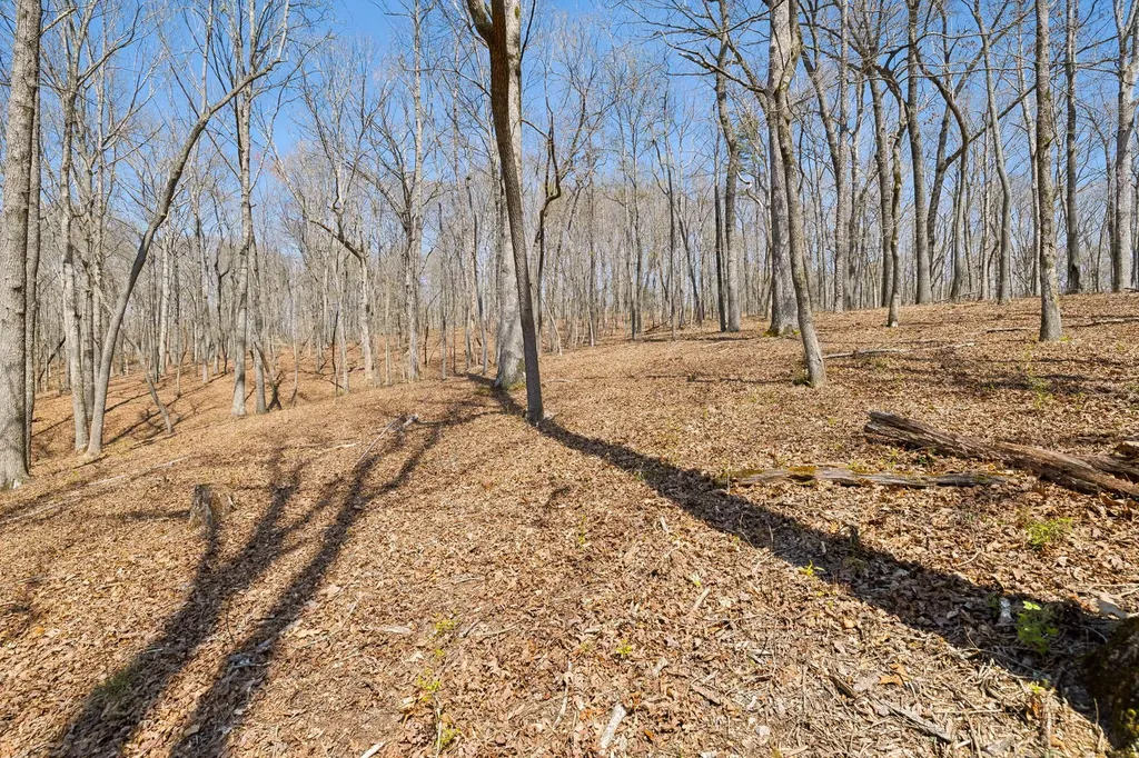 1300 Old Sugar Limb Road Loudon TN 37774