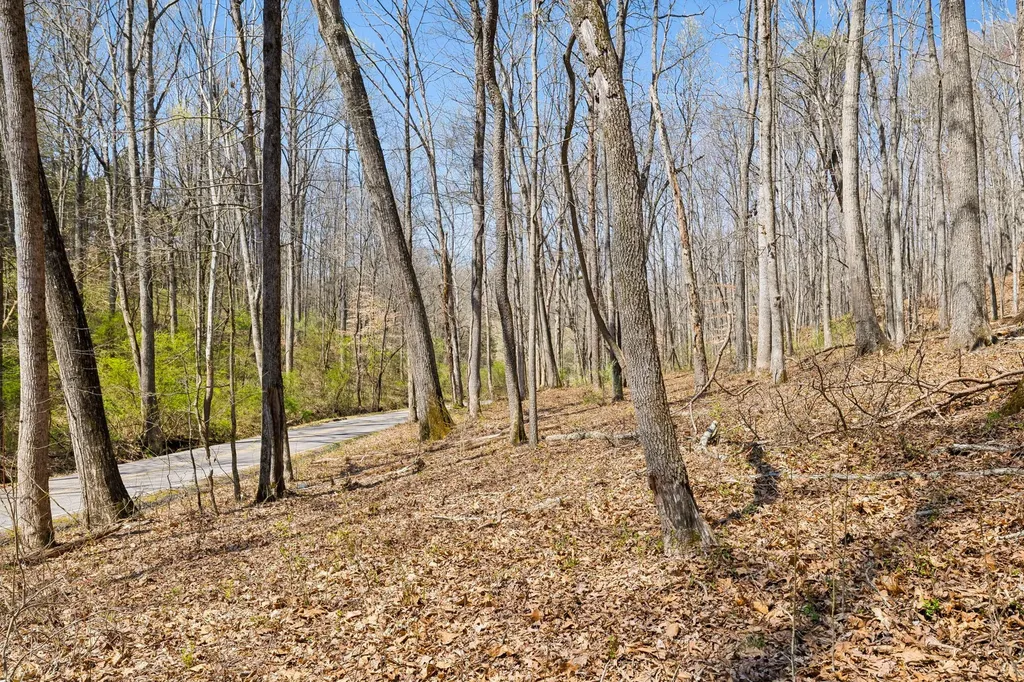 1300 Old Sugar Limb Road Loudon TN 37774