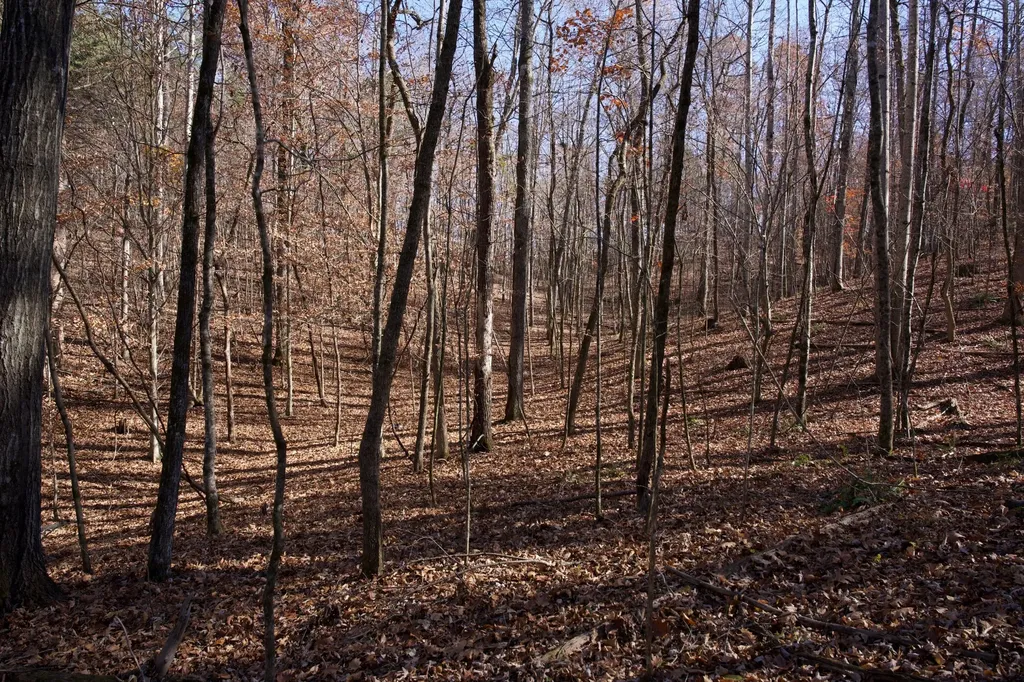 7 West Of Barlow Road Rock Island TN 38581