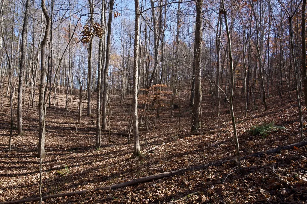 7 West Of Barlow Road Rock Island TN 38581