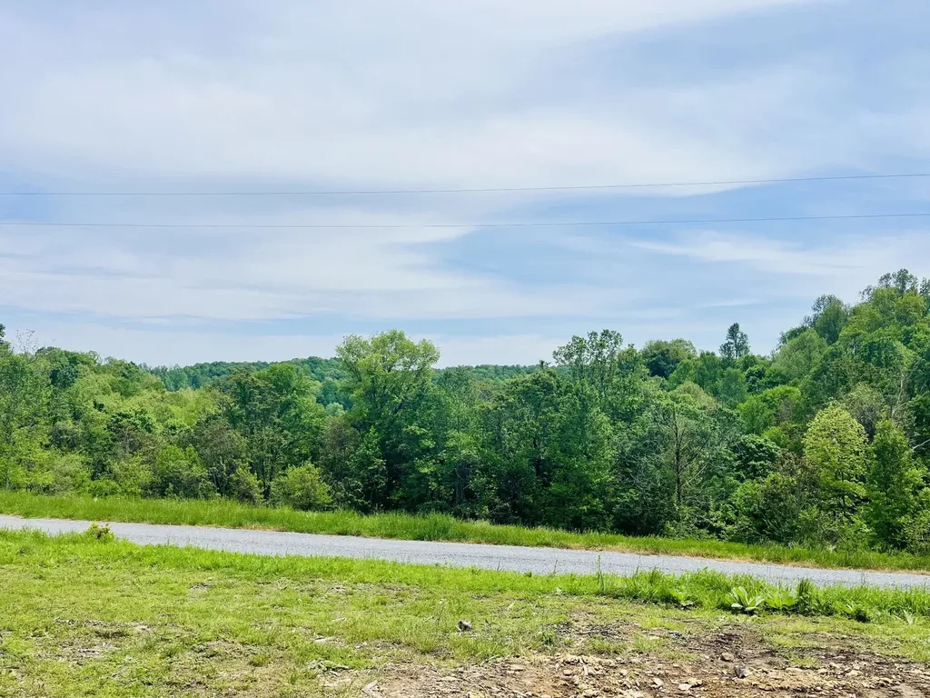 518 Beaver Lane Gainesboro TN 38562
