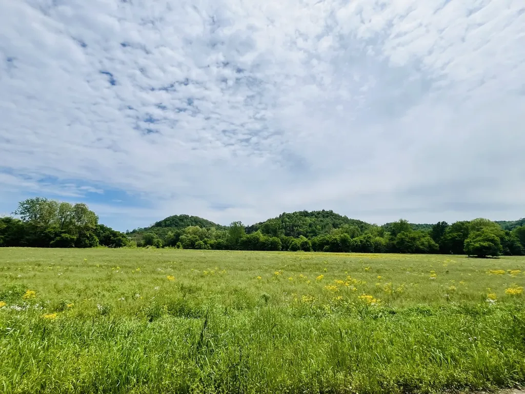 518 Beaver Lane Gainesboro TN 38562