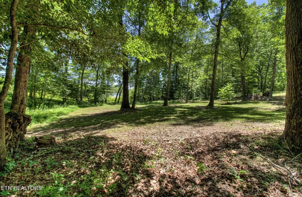 2240 Smith Mountain Road Rockwood TN 37854