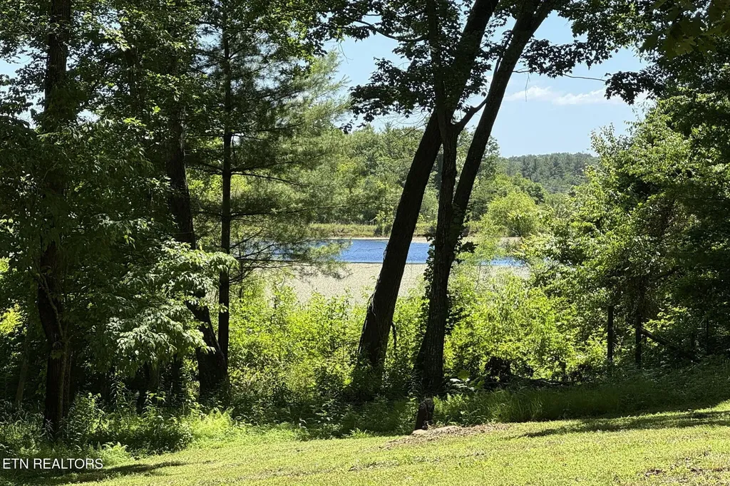 2240 Smith Mountain Road Rockwood TN 37854