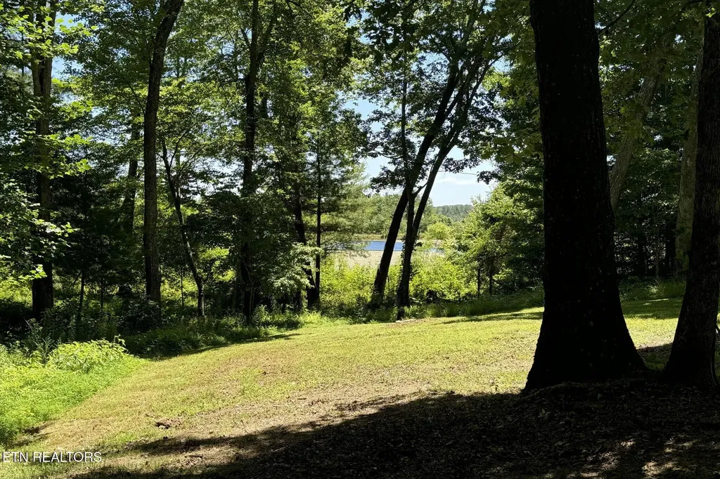 2240 Smith Mountain Road Rockwood TN 37854