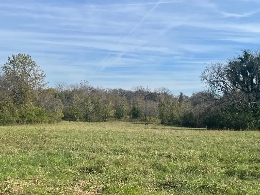 0 Blythe Avenue Gallatin TN 37066