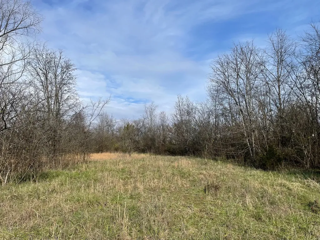 0 Blythe Avenue Gallatin TN 37066