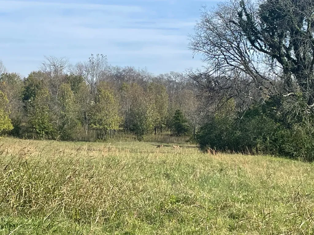 0 Blythe Avenue Gallatin TN 37066