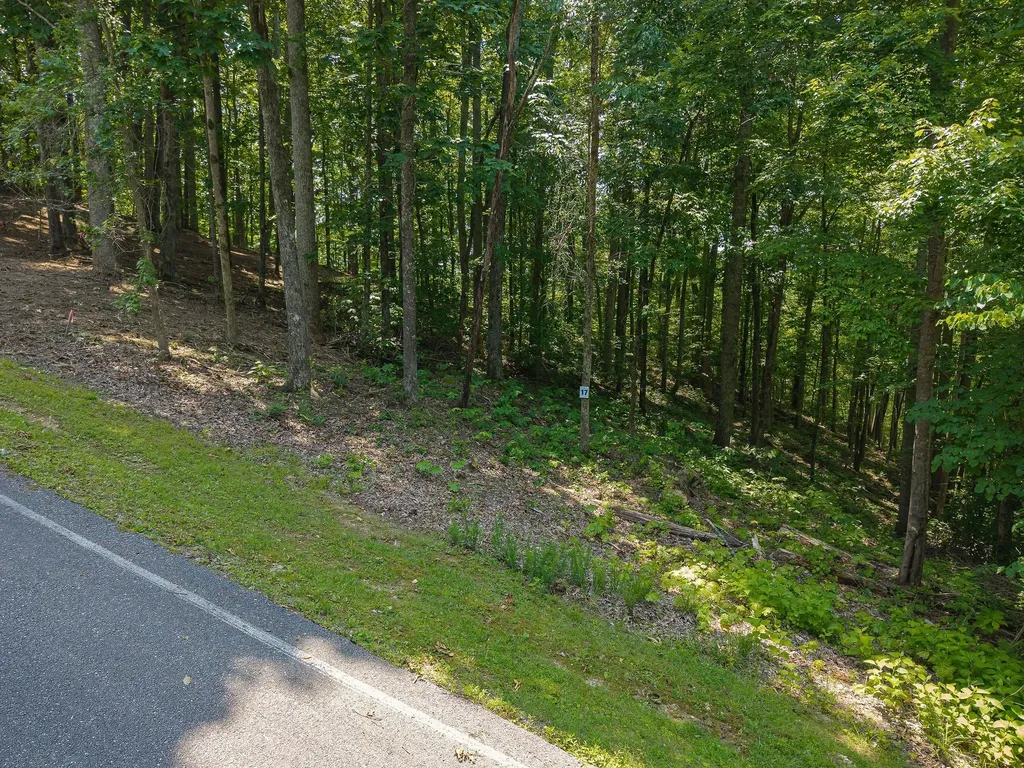 0 Bridge Pointe Road Sparta TN 38583