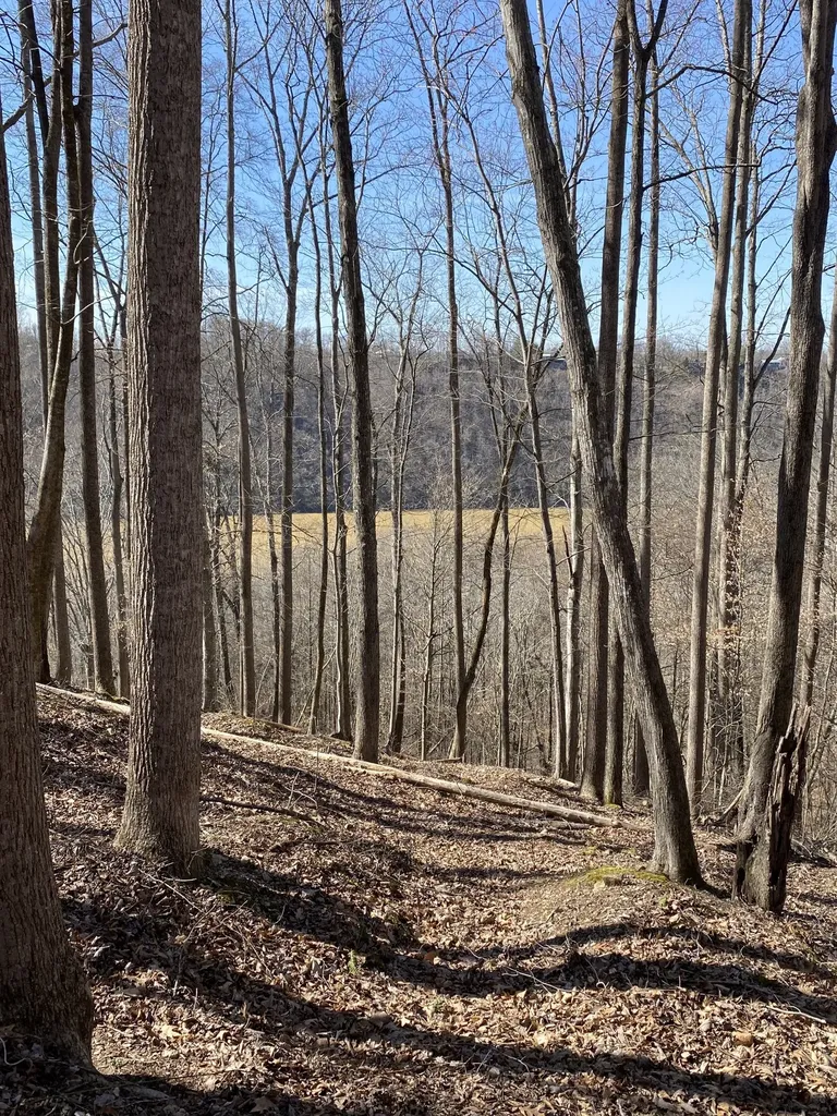 0 Bridge Pointe Road Sparta TN 38583