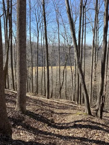 0 Bridge Pointe Road Sparta TN 38583