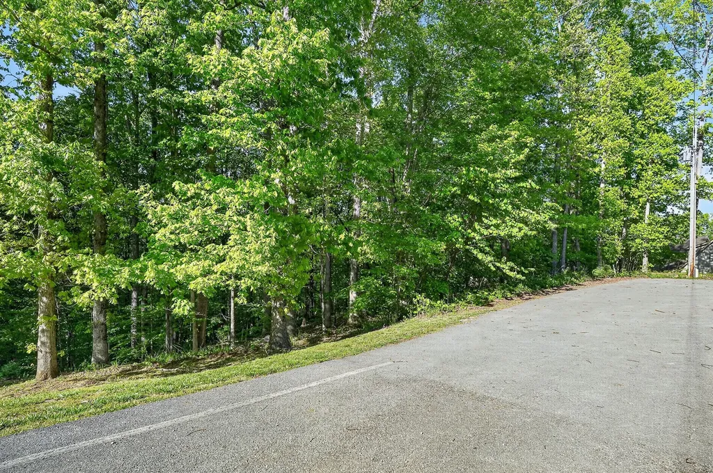 0 Mountain Lake Lane Sparta TN 38583