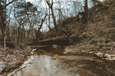 6680 Walker Creek Road Alexandria TN 37012