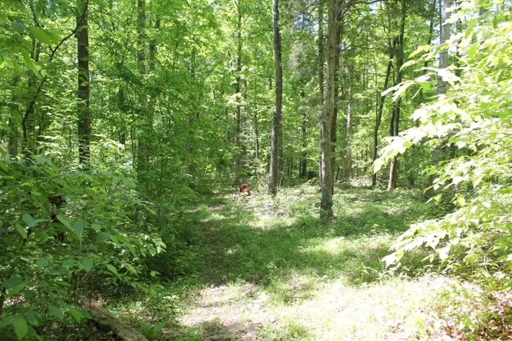 0 Meadows Road Portland TN 37148