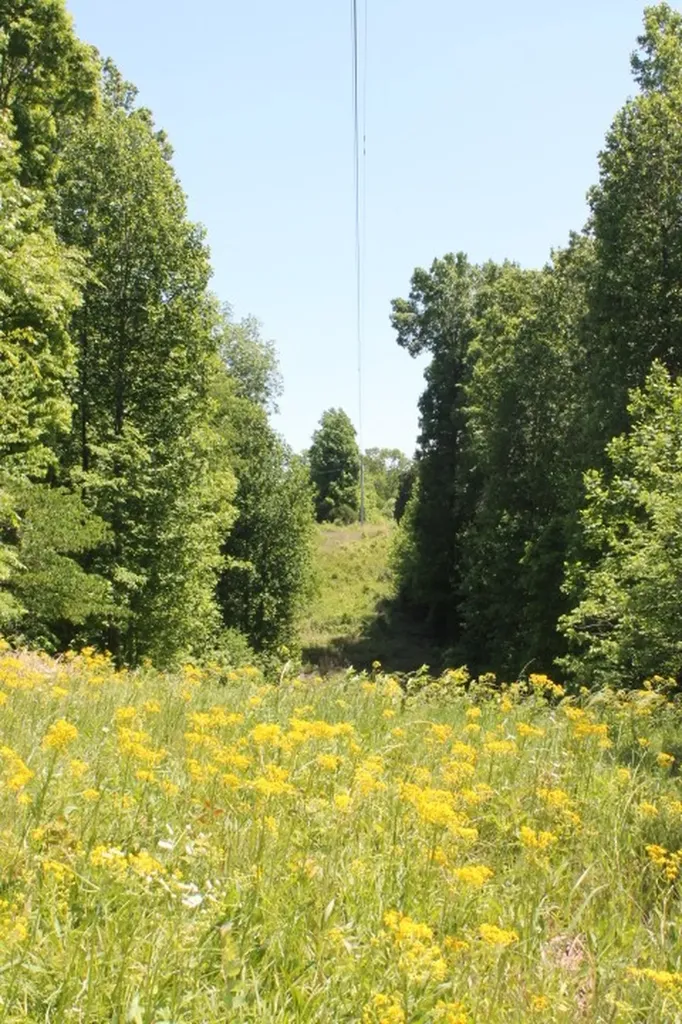 0 Meadows Road Portland TN 37148