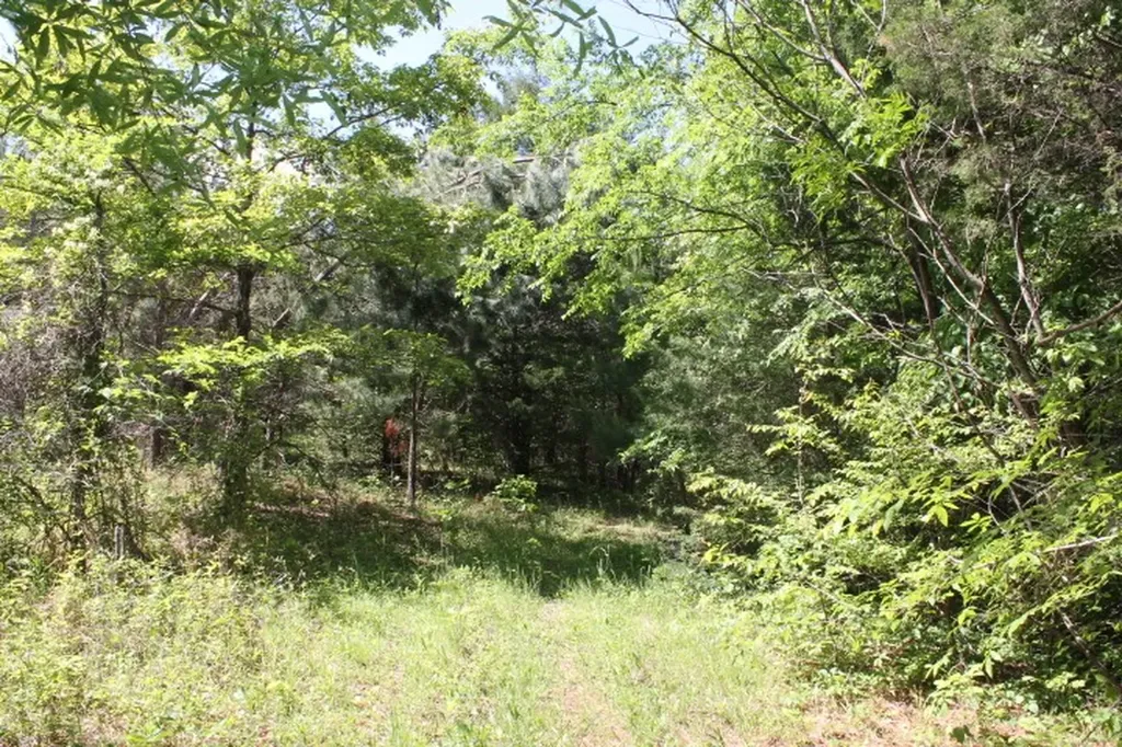 0 Meadows Road Portland TN 37148