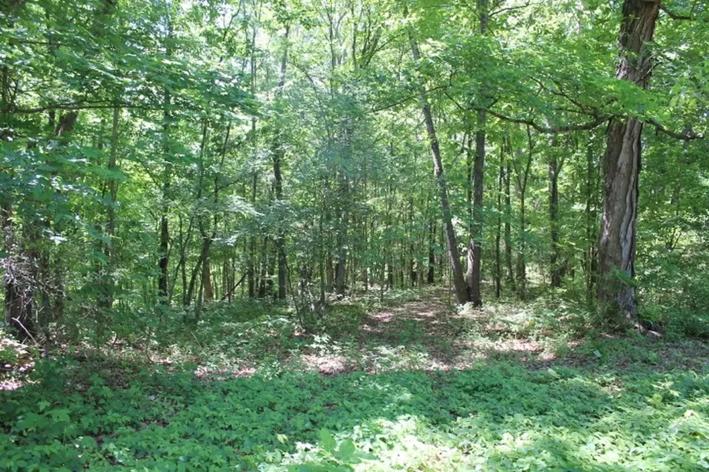 0 Meadows Road Portland TN 37148