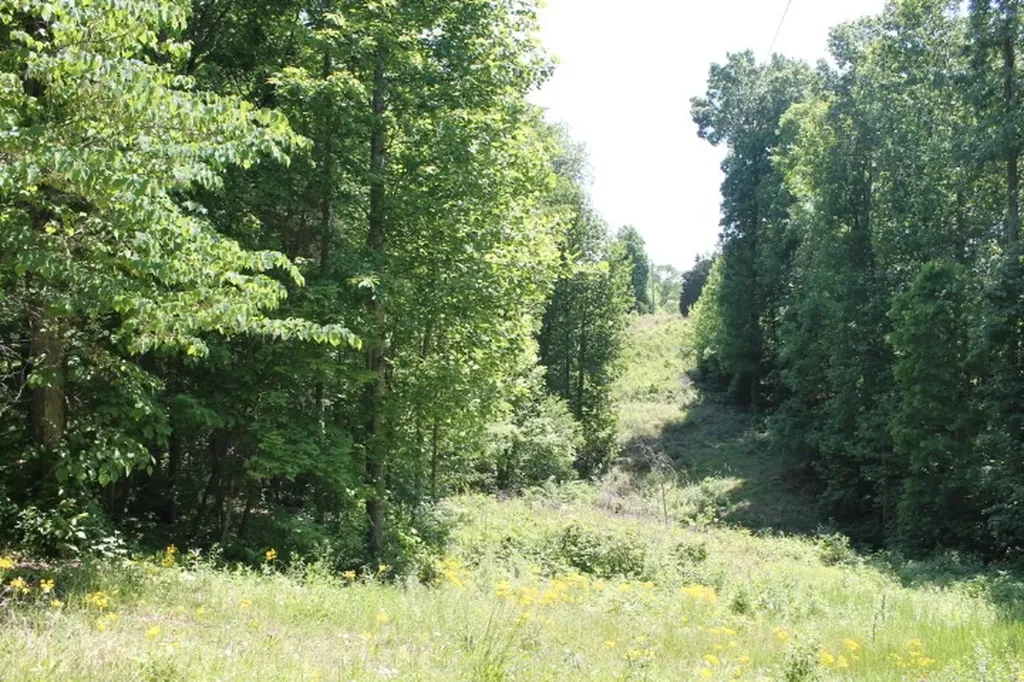 0 Meadows Road Portland TN 37148