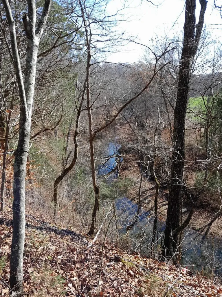 0 Meadows Road Portland TN 37148