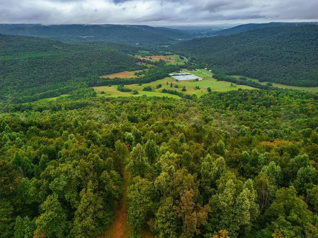 0 Bear Knob Lane Crawford TN 38554