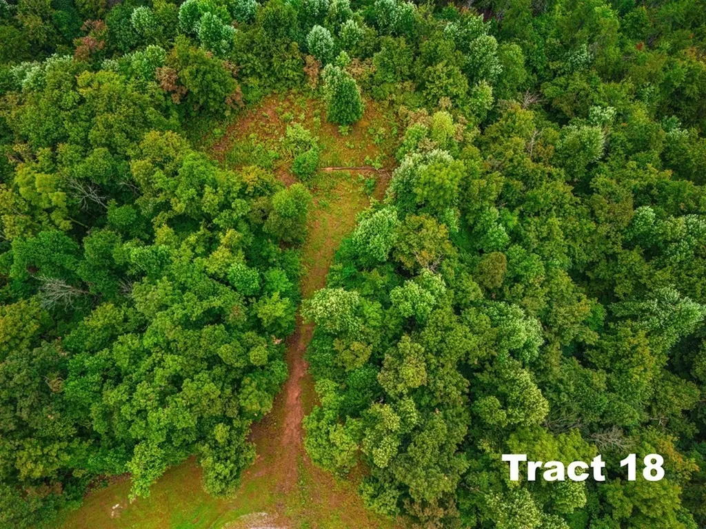 0 Bear Knob Lane Crawford TN 38554