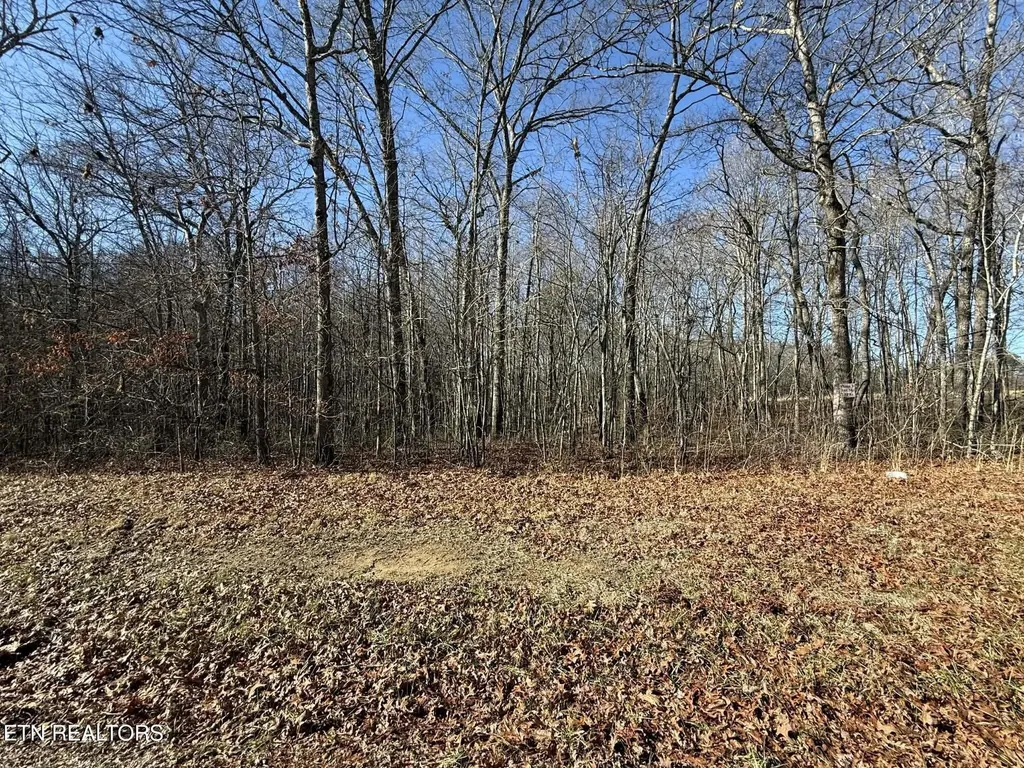 0 Georgee Road, Lot 14 Jamestown TN 38556