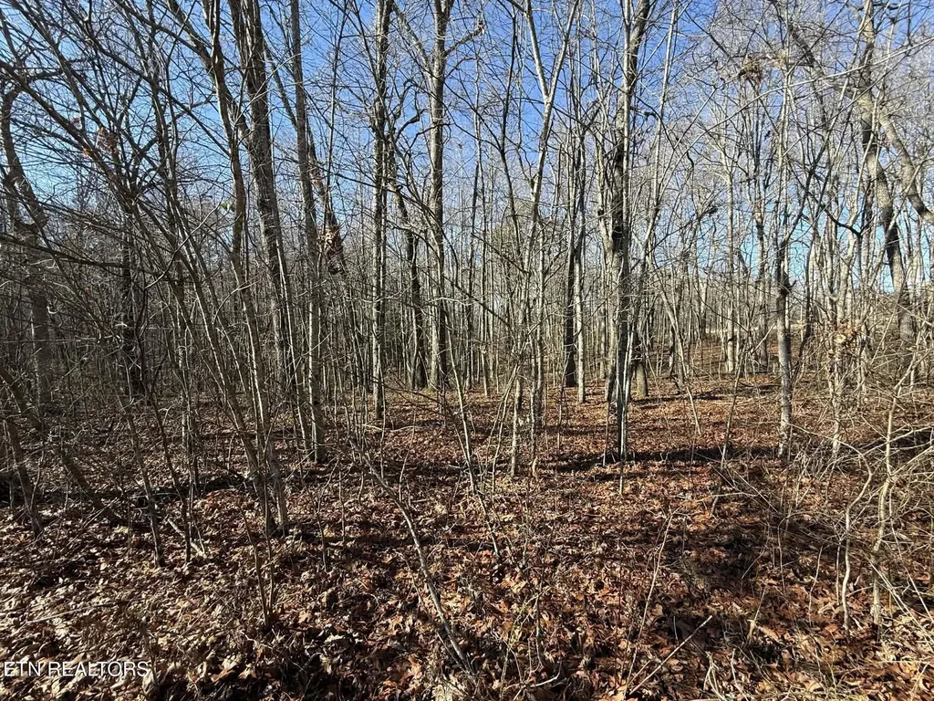 0 Georgee Road, Lot 14 Jamestown TN 38556