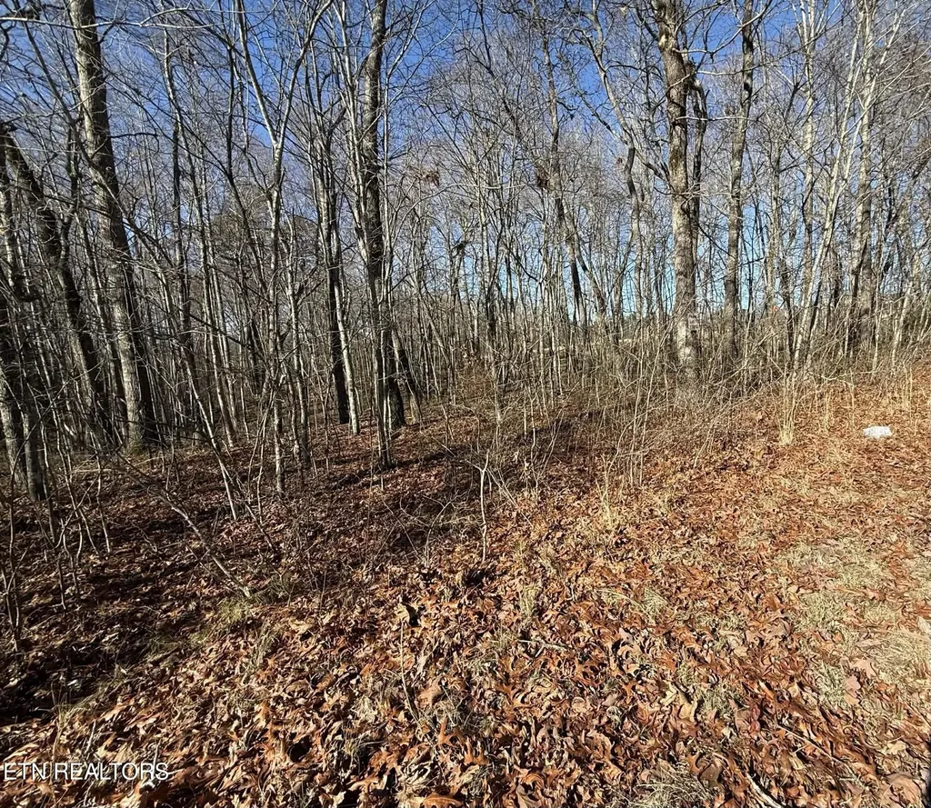 0 Georgee Road, Lot 14 Jamestown TN 38556